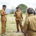 Bupati Sumbawa Tinjau Lokasi Penanaman 1.000 Pohon Ketapang Kencana di Labuhan Badas dan Moyo Hilir