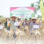 Sumbawa Fokus Tingkatkan Produksi Pangan