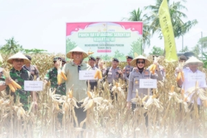 Sumbawa Fokus Tingkatkan Produksi Pangan